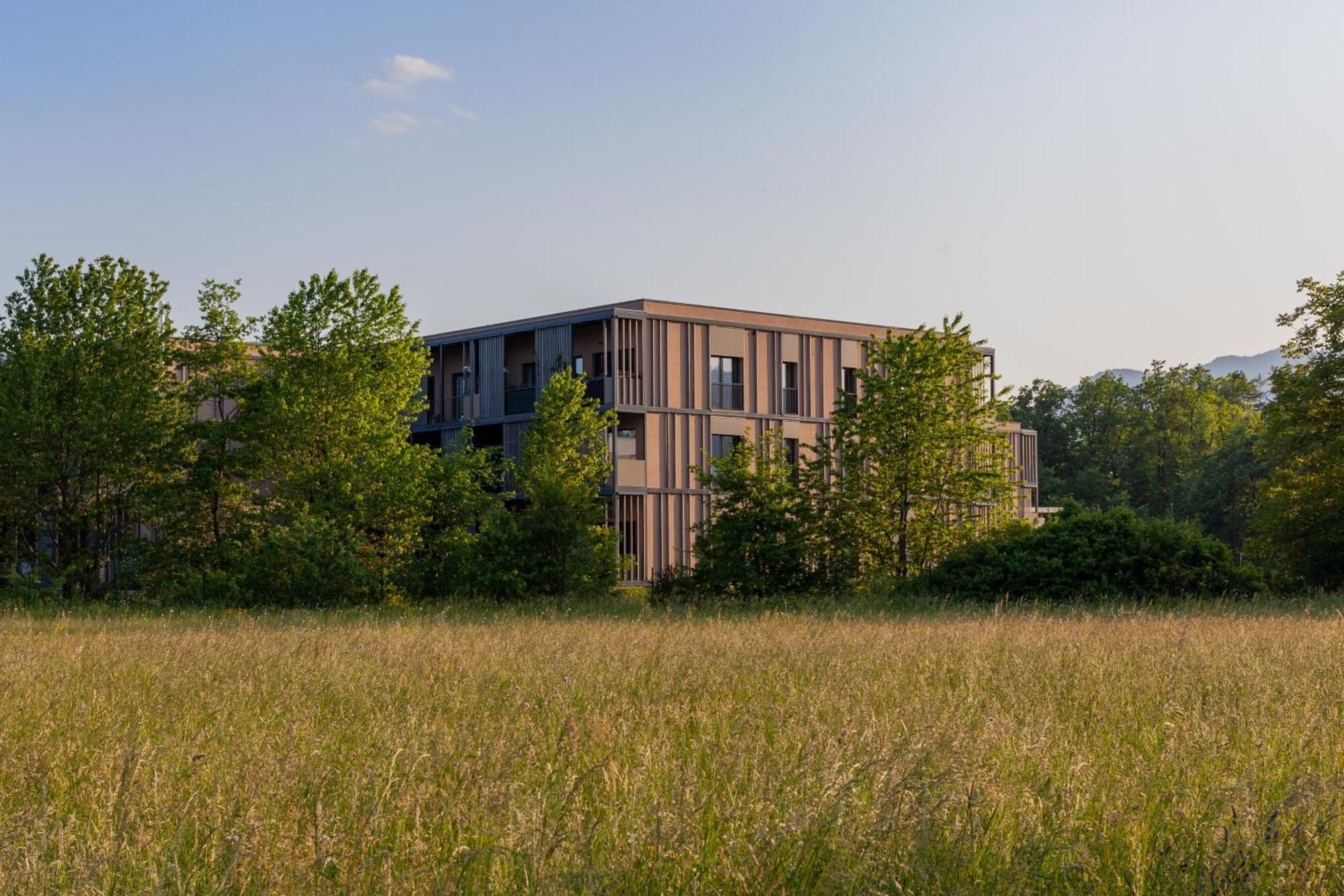 The Nest Apartment Bled Centre Exterior photo